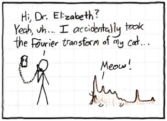 Fourier-cat.jpg