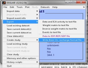 EEGLABexport.jpg