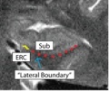 Thumbnail for version as of 01:51, 28 January 2014