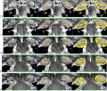 Thumbnail for version as of 01:43, 28 January 2014