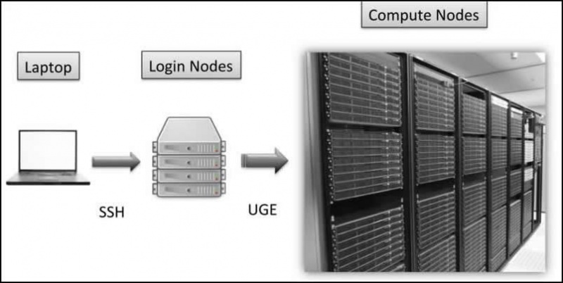 File:CCN Hoffman2 Workshop.jpg